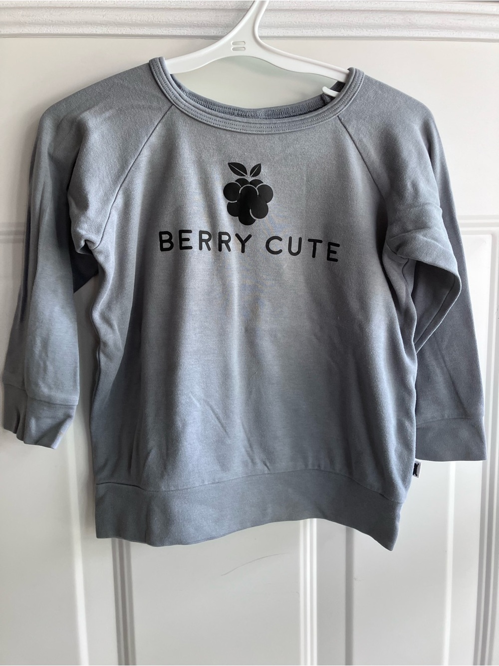 Little & lively blue berry cute long sleeve shirt 3T 4T